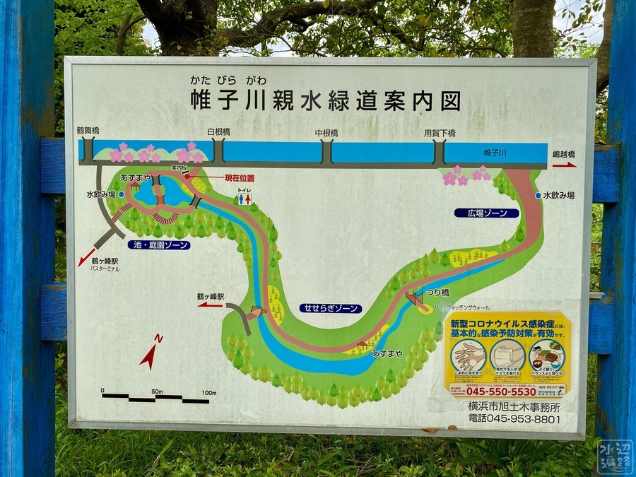 f:id:cippillo:20200913204701j:plain