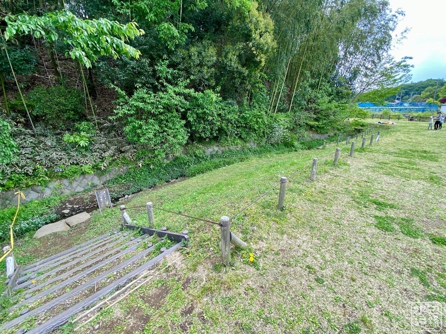 f:id:cippillo:20200913211619j:plain