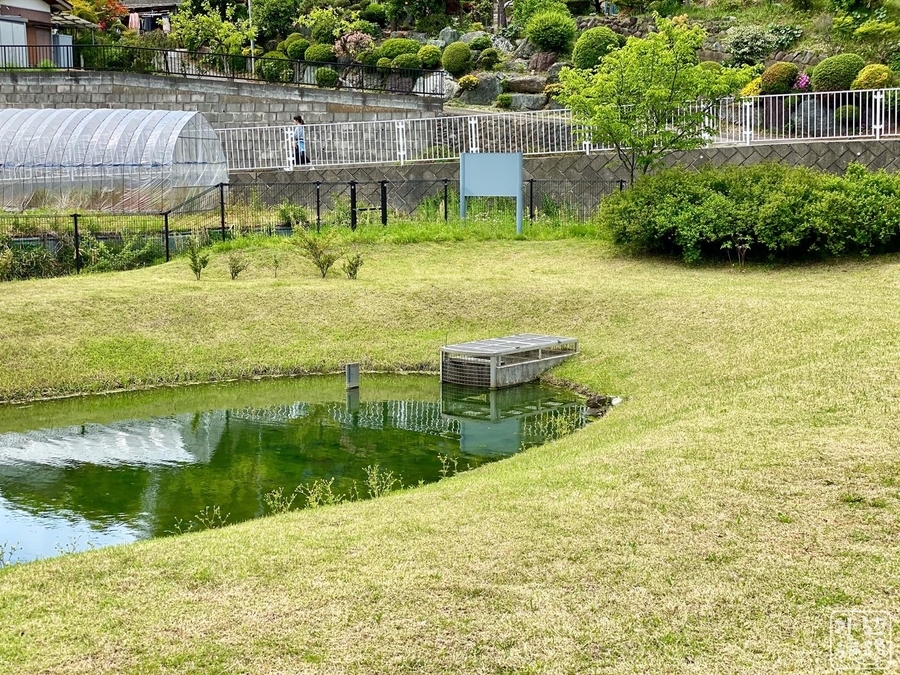 f:id:cippillo:20200913211626j:plain