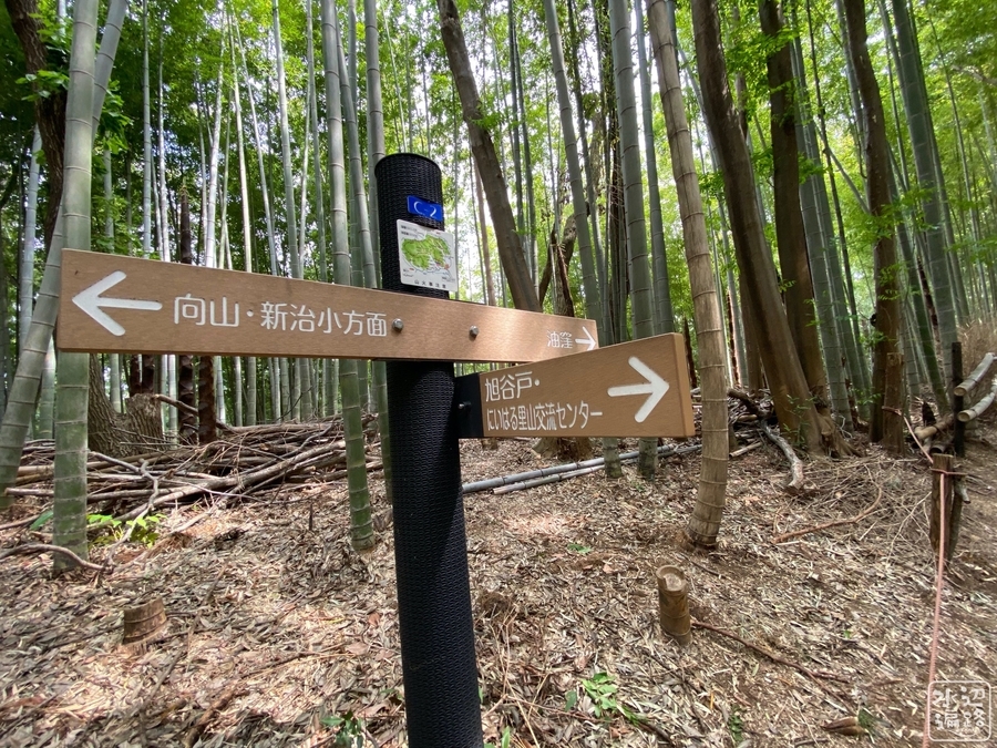 f:id:cippillo:20200914175751j:plain