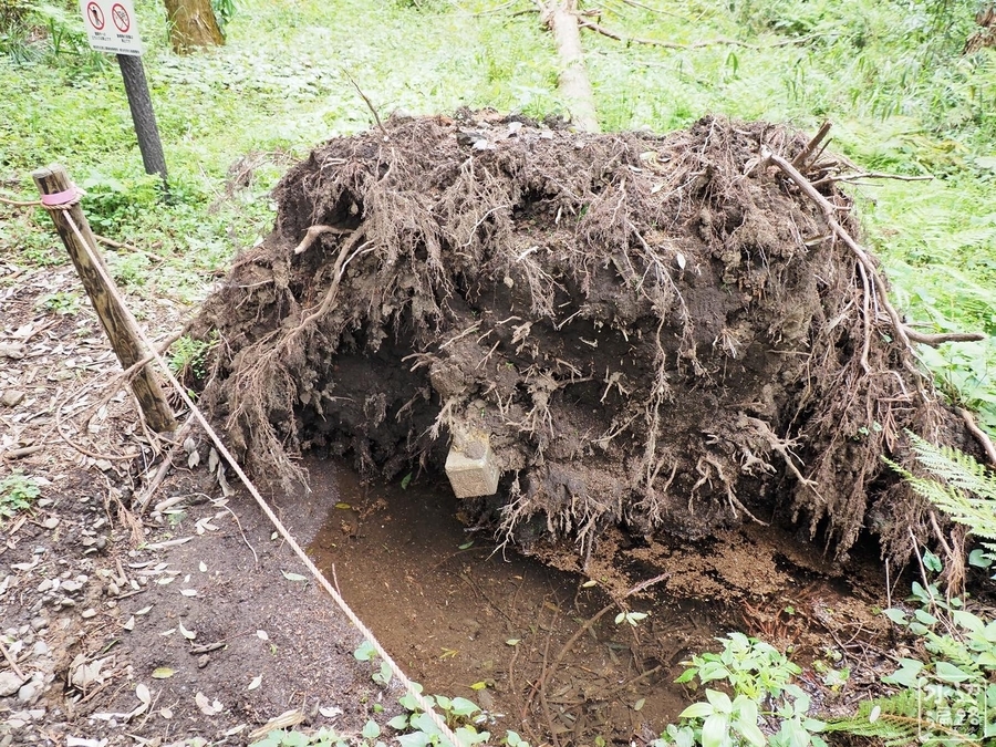 f:id:cippillo:20200914175854j:plain