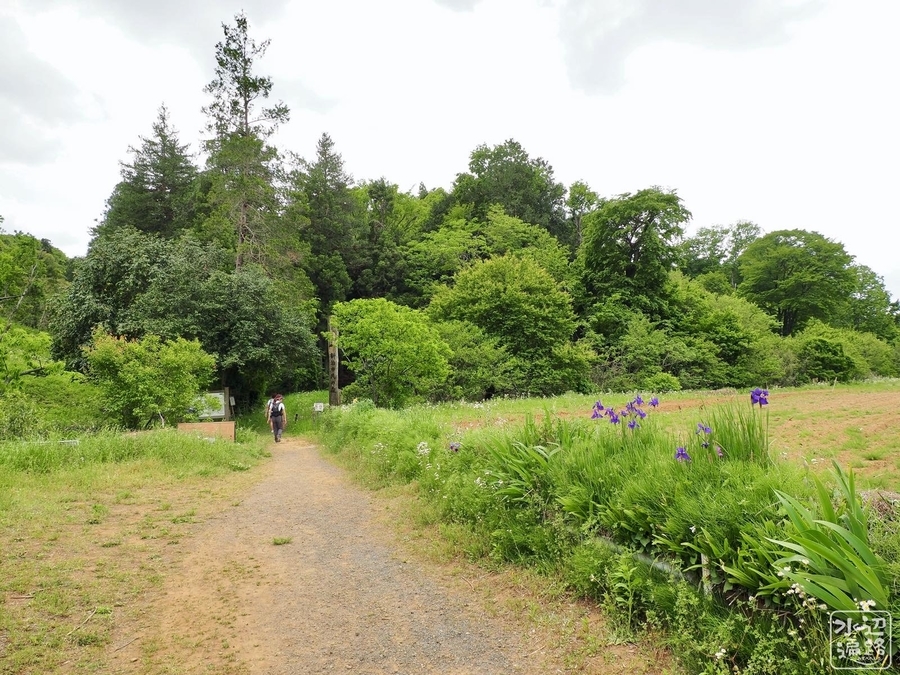 f:id:cippillo:20200914175901j:plain