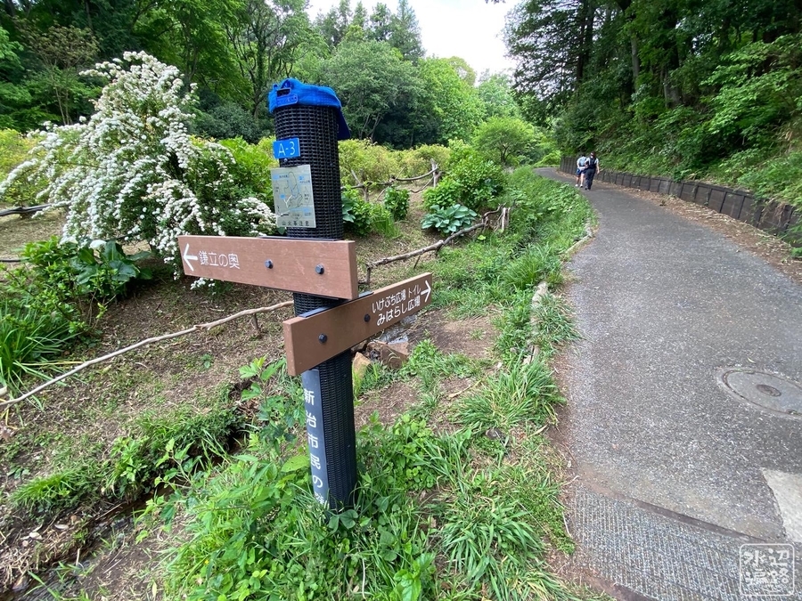 f:id:cippillo:20200914175916j:plain