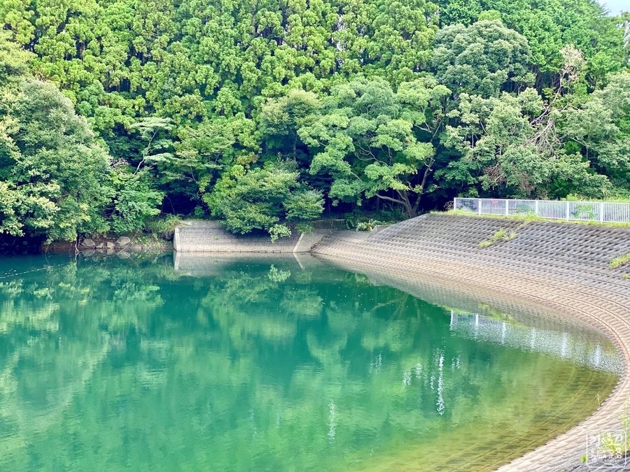 ひょうたん池（静岡県東伊豆） - 水辺遍路