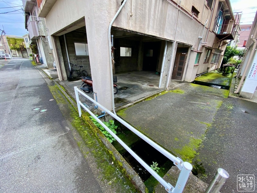 f:id:cippillo:20200918130208j:plain