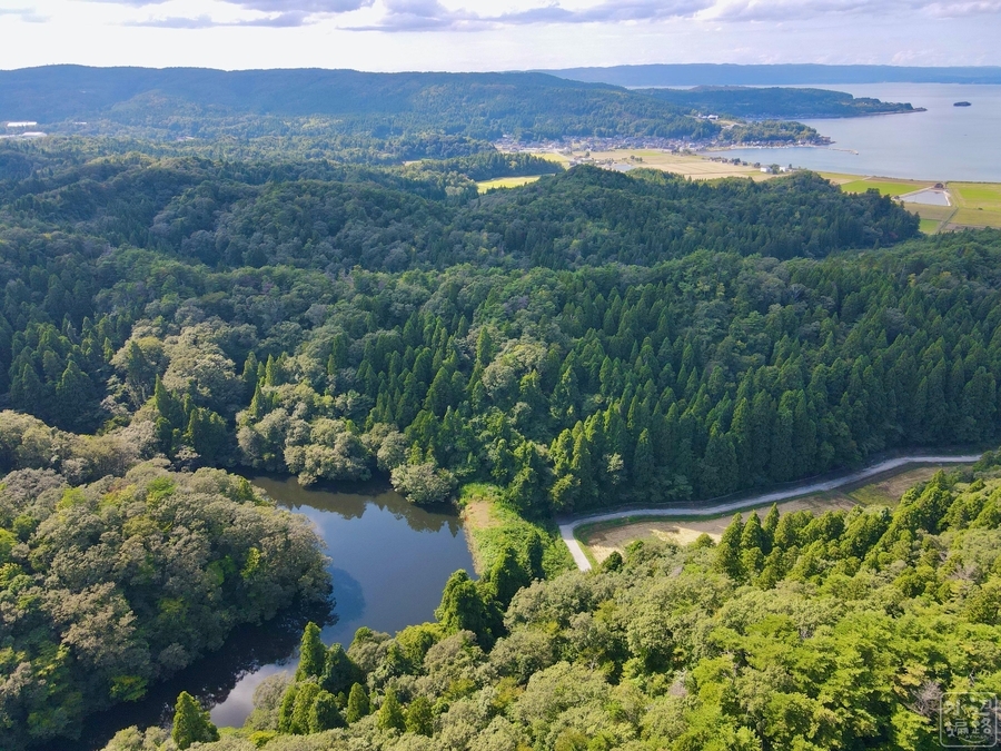 f:id:cippillo:20200923135533j:plain