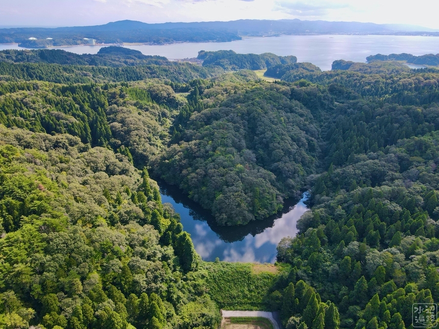 f:id:cippillo:20200923135625j:plain