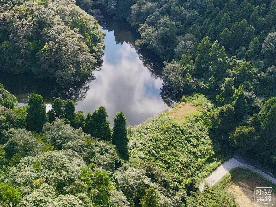 f:id:cippillo:20200923135655j:plain