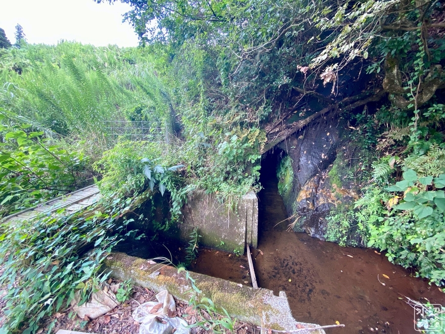 f:id:cippillo:20200923141717j:plain