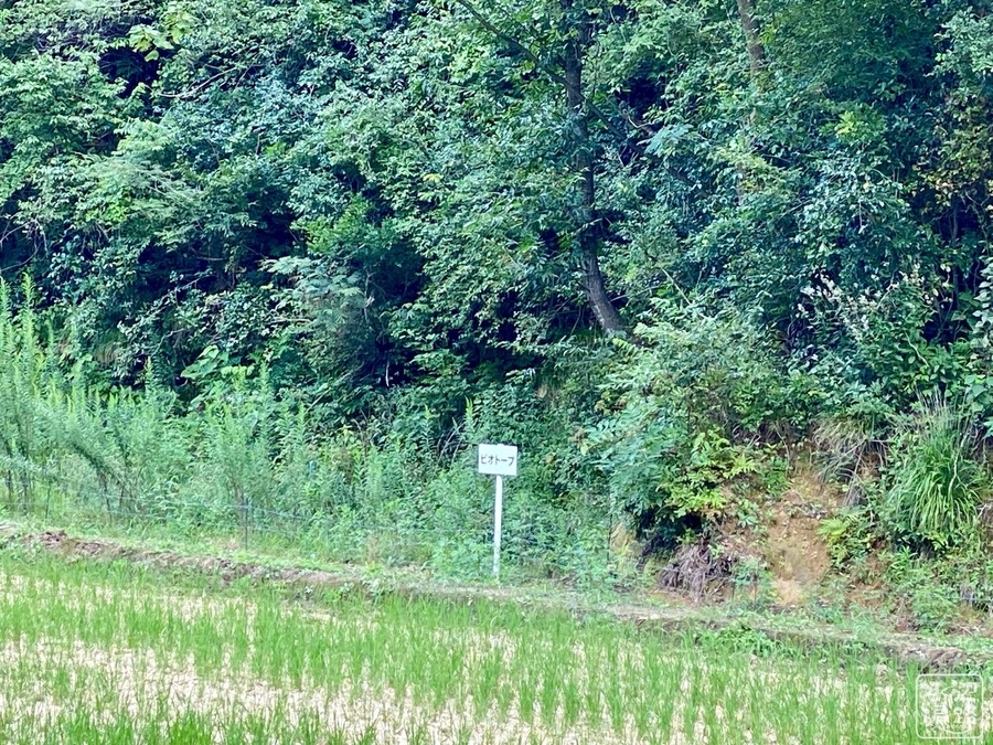 f:id:cippillo:20200923141756j:plain