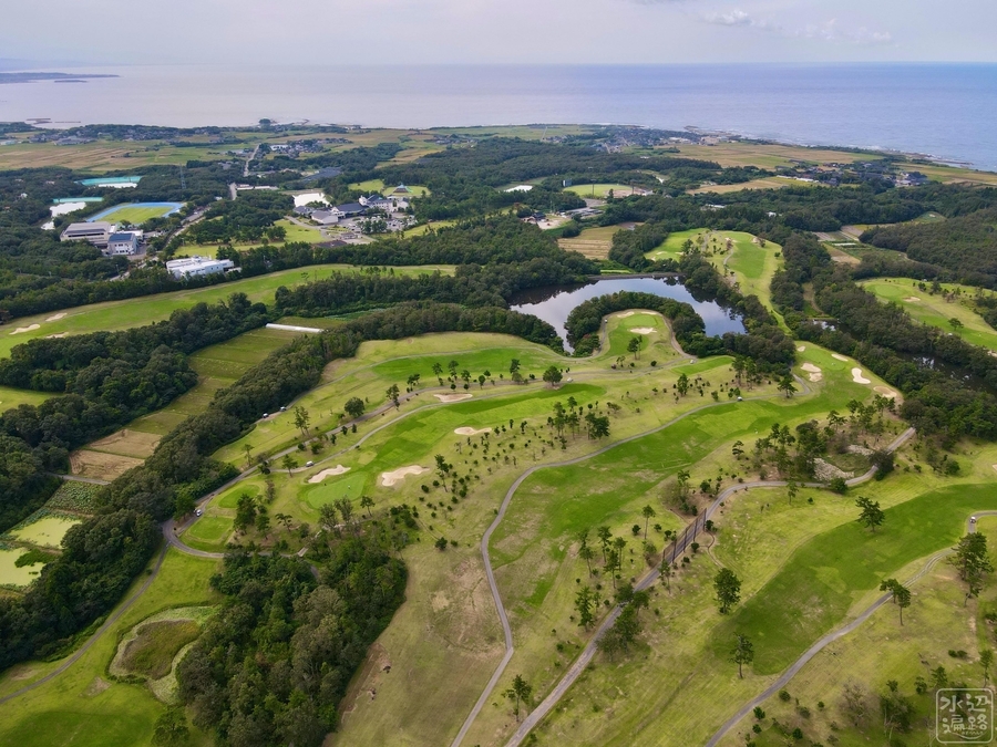 f:id:cippillo:20200924104940j:plain