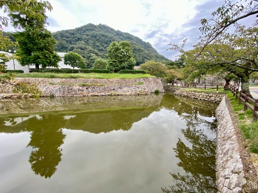 f:id:cippillo:20201008053135j:plain