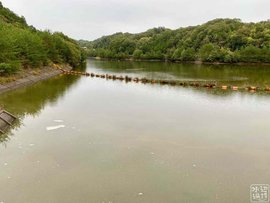 f:id:cippillo:20201013211620j:plain