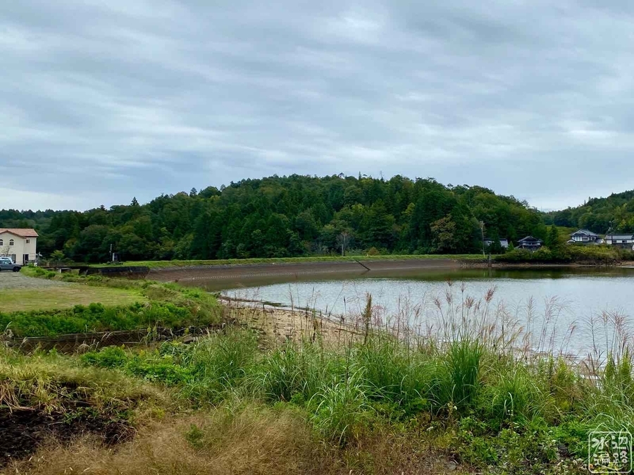 f:id:cippillo:20201014041556j:plain