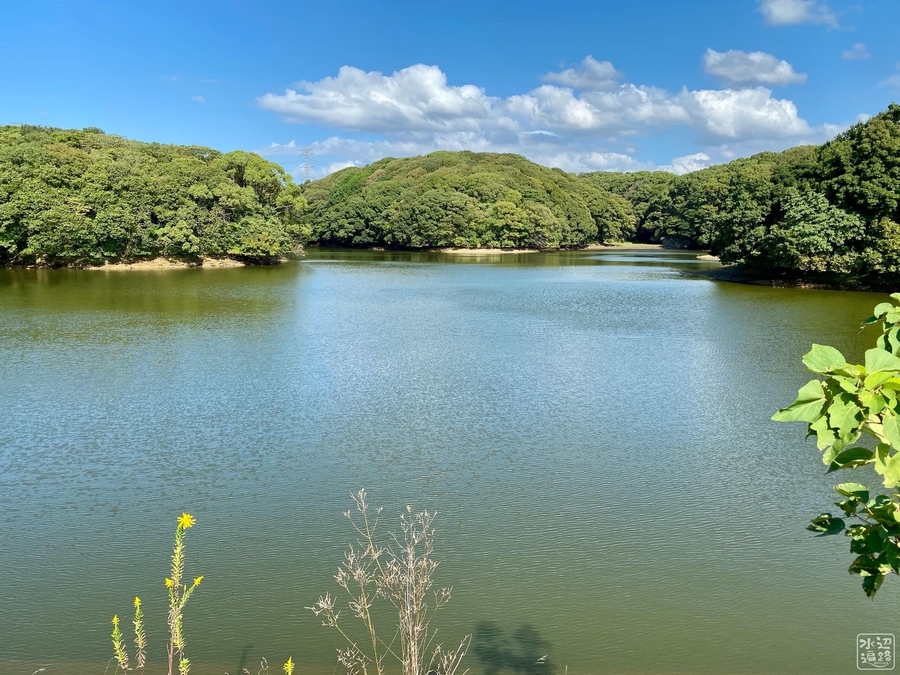 豊前坊池 福岡県北九州 水辺遍路