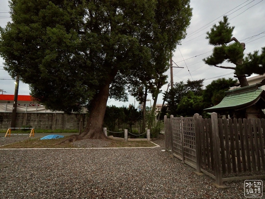 f:id:cippillo:20201030105537j:plain f:id:cippillo:20201030105537j:plain