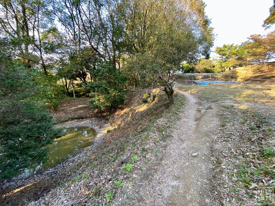 f:id:cippillo:20201104075822j:plain f:id:cippillo:20201104075822j:plain