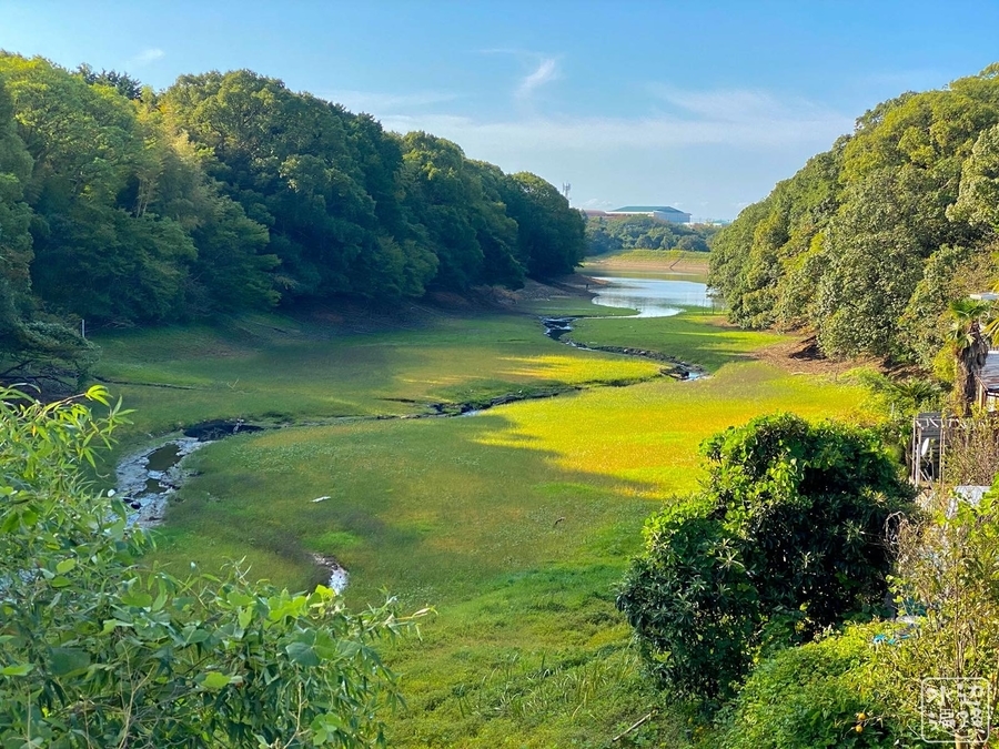 大福寺池 福岡県宇美 水辺遍路