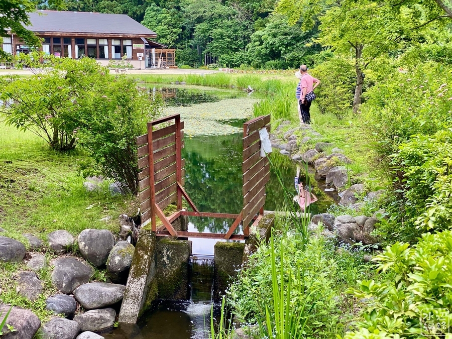 f:id:cippillo:20201104133227j:plain