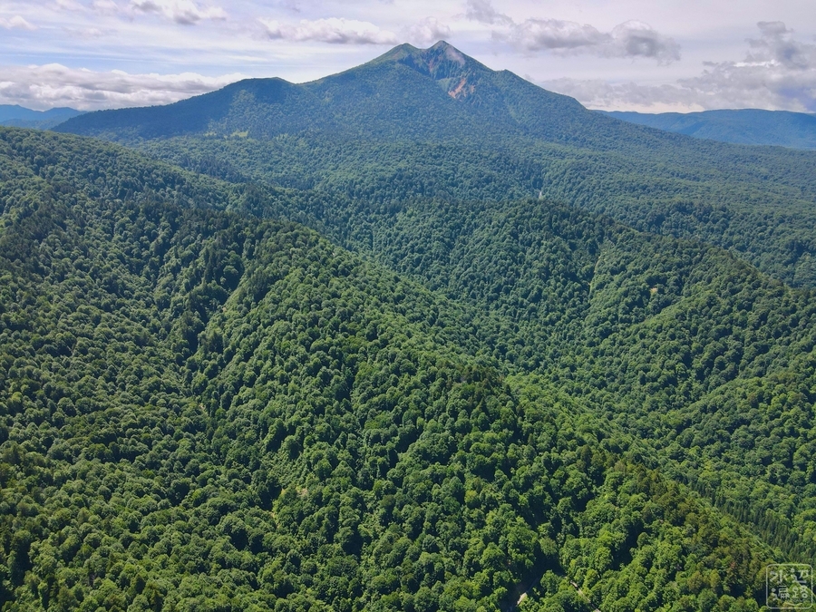 f:id:cippillo:20201104185855j:plain