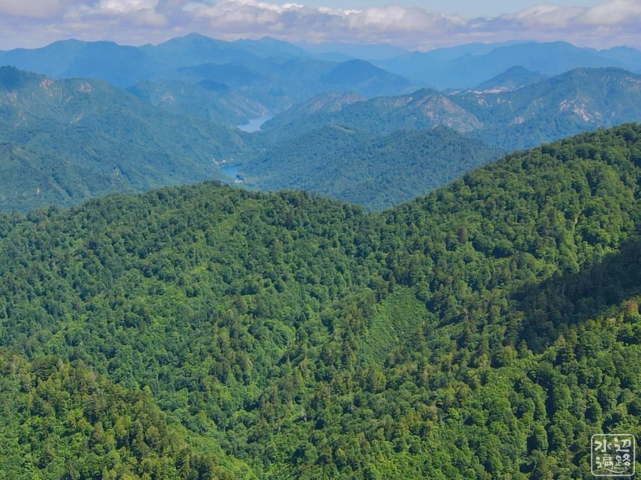 f:id:cippillo:20201104190952j:plain