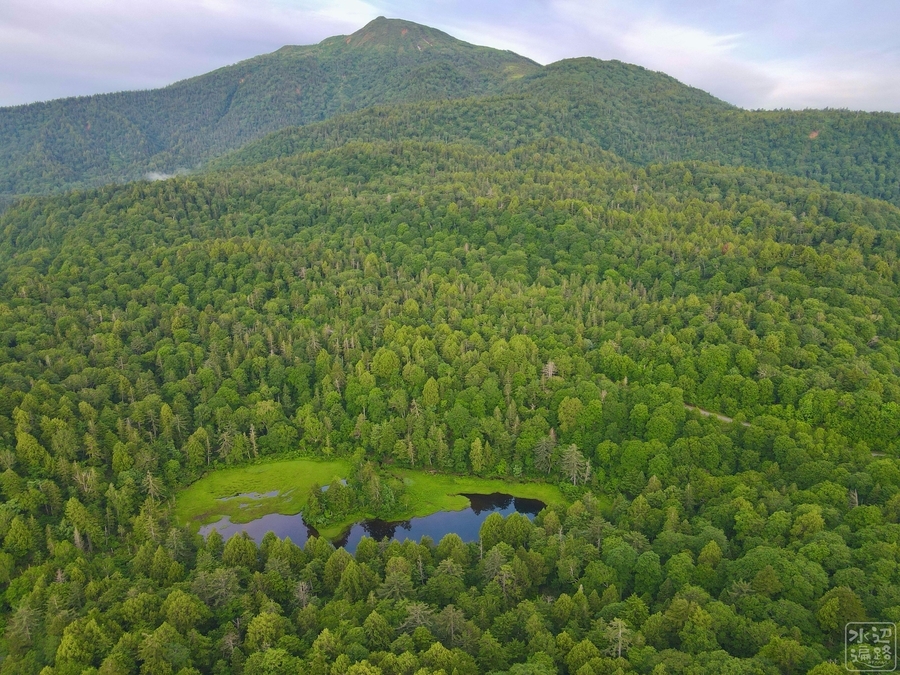 f:id:cippillo:20201104193604j:plain