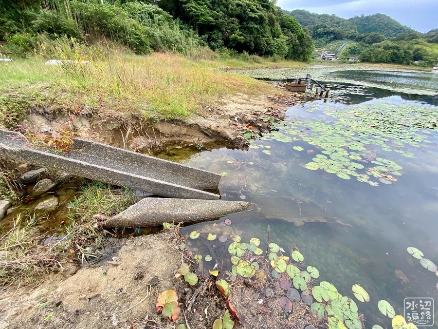 f:id:cippillo:20201110160232j:plain