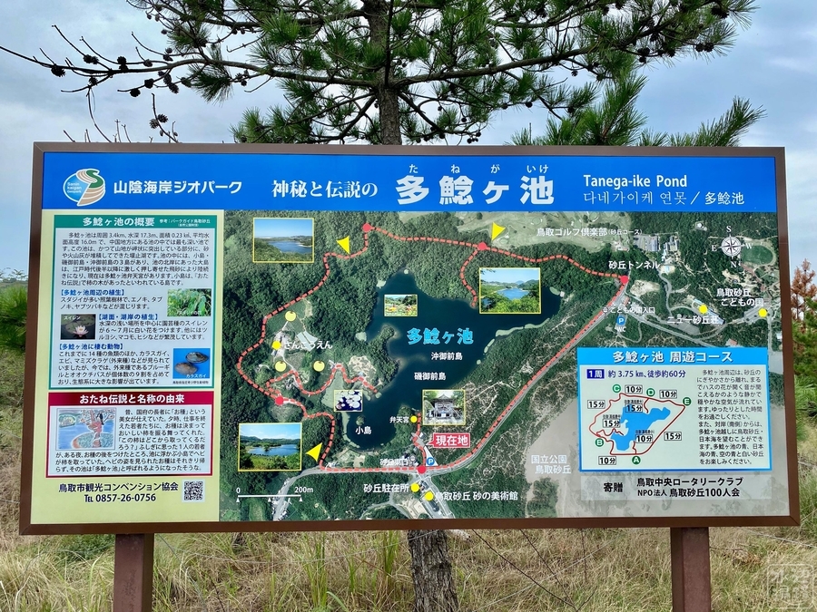 f:id:cippillo:20201110160321j:plain