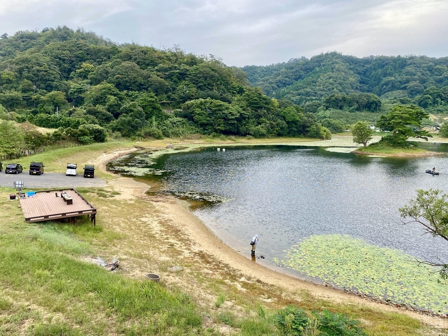 f:id:cippillo:20201110160344j:plain