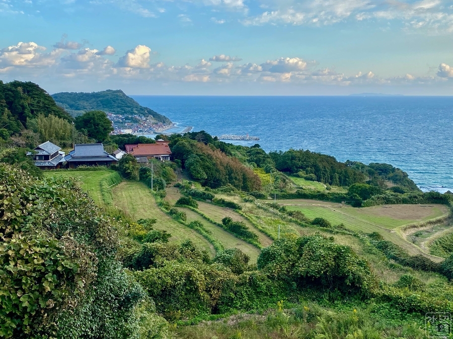 f:id:cippillo:20201112153103j:plain