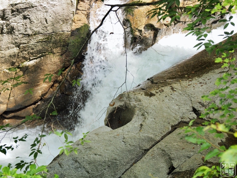 f:id:cippillo:20201117123337j:plain