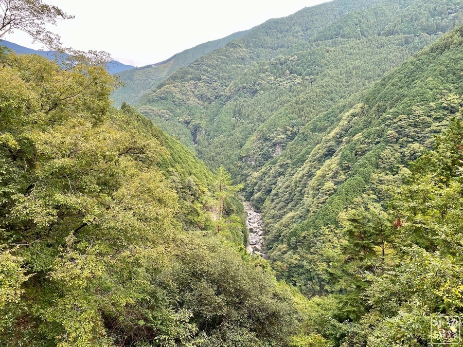 f:id:cippillo:20201117170044j:plain
