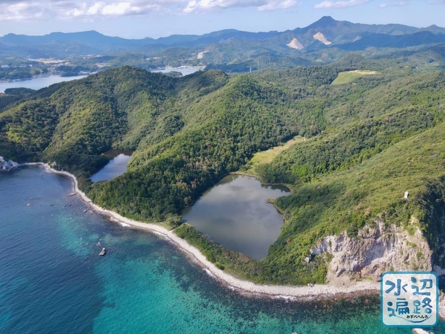 津井の池（島根県隠岐島） - 水辺遍路