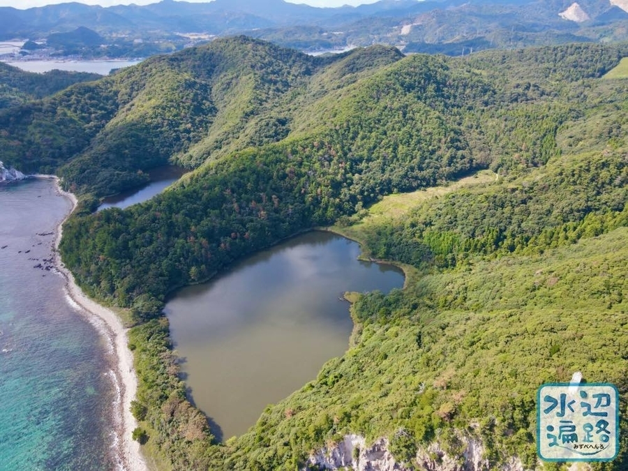 津井の池（島根県隠岐島） - 水辺遍路