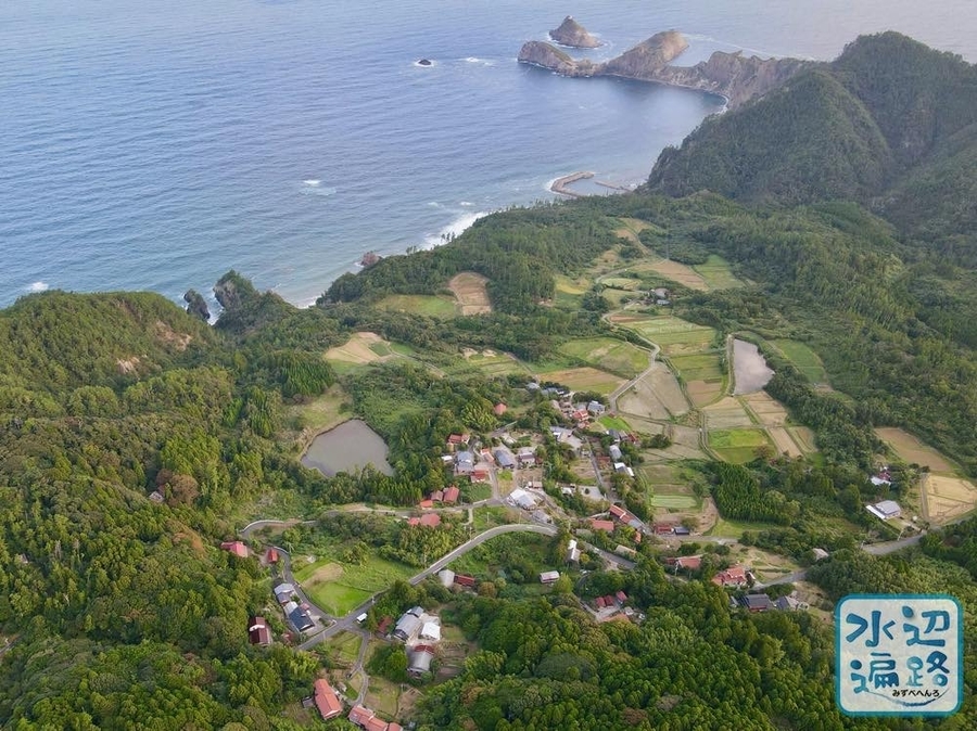 f:id:cippillo:20201119153134j:plain