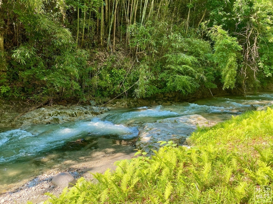 野池親水公園 水遊びの池 長野県飯田 水辺遍路