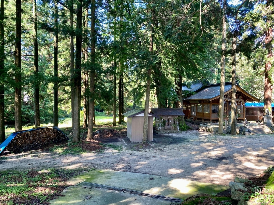 f:id:cippillo:20201123144222j:plain