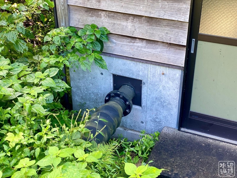 f:id:cippillo:20201129135603j:plain