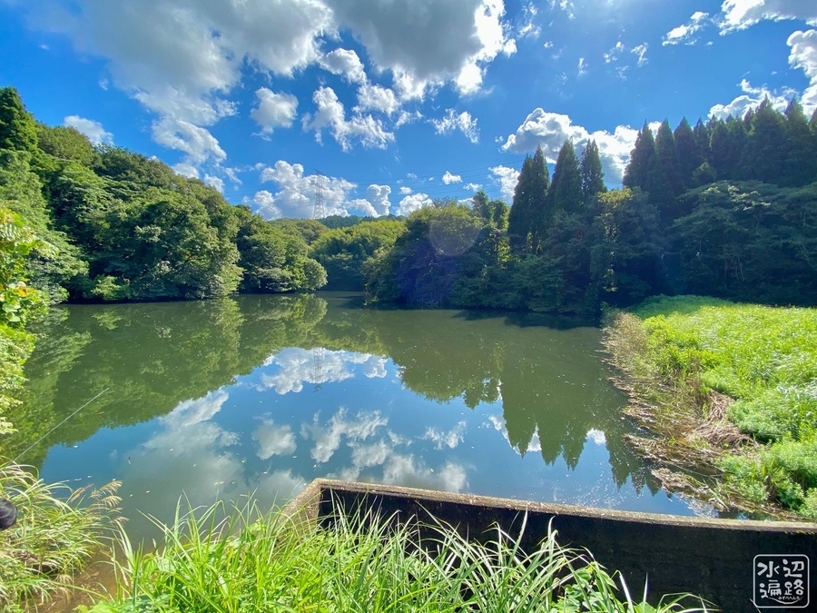 f:id:cippillo:20201129135617j:plain