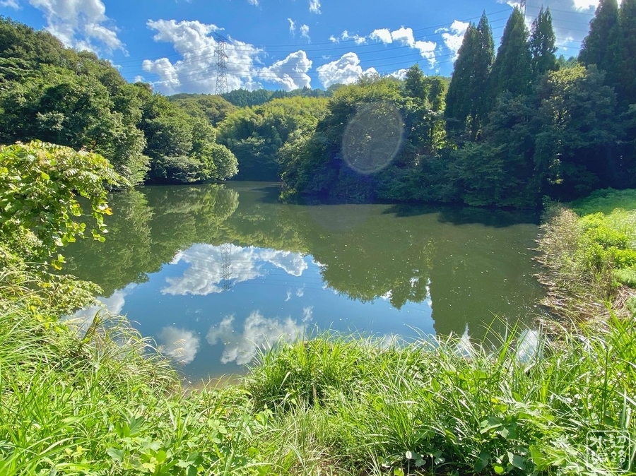 f:id:cippillo:20201129135623j:plain