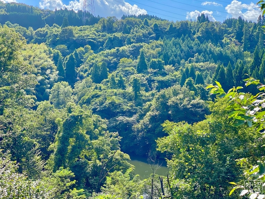 f:id:cippillo:20201129135631j:plain