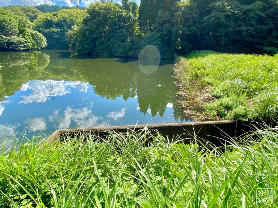 f:id:cippillo:20201129135639j:plain