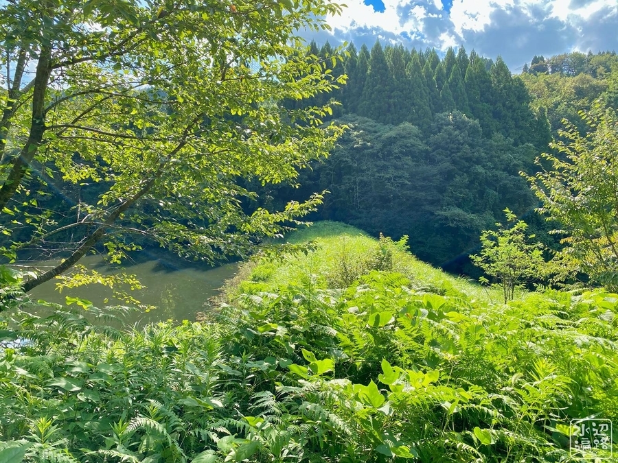 f:id:cippillo:20201129135646j:plain