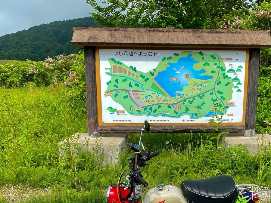 f:id:cippillo:20201130153858j:plain