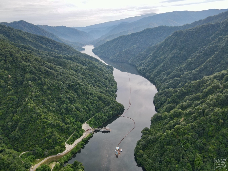 f:id:cippillo:20201210095054j:plain