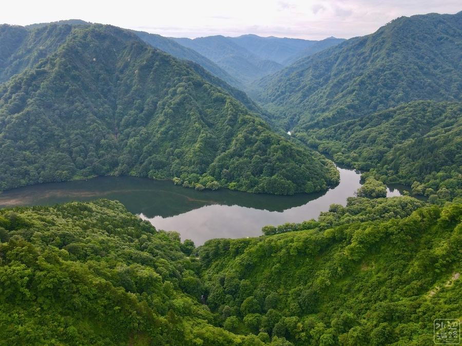 f:id:cippillo:20201210095136j:plain