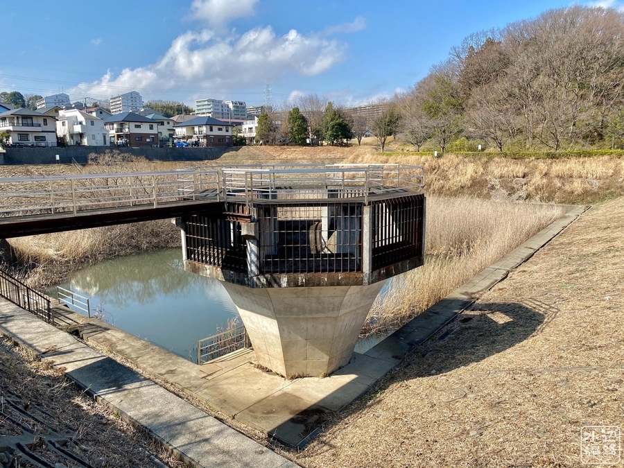 f:id:cippillo:20201214224434j:plain