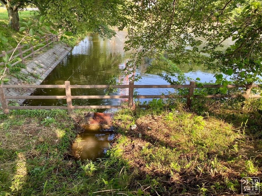 f:id:cippillo:20201215093724j:plain