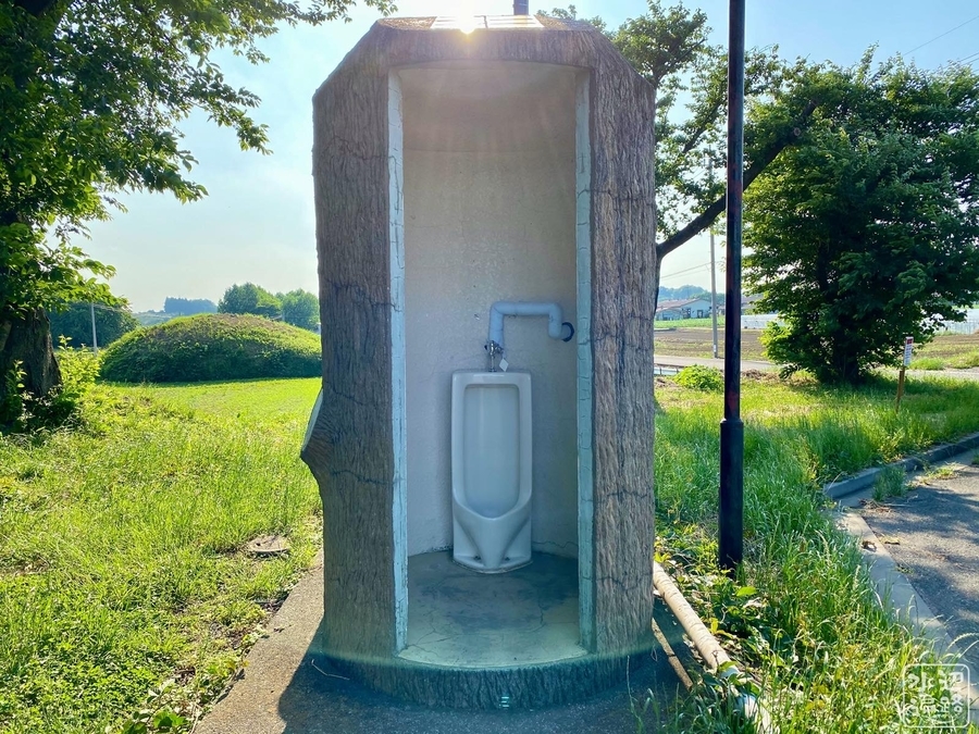 f:id:cippillo:20201215093737j:plain