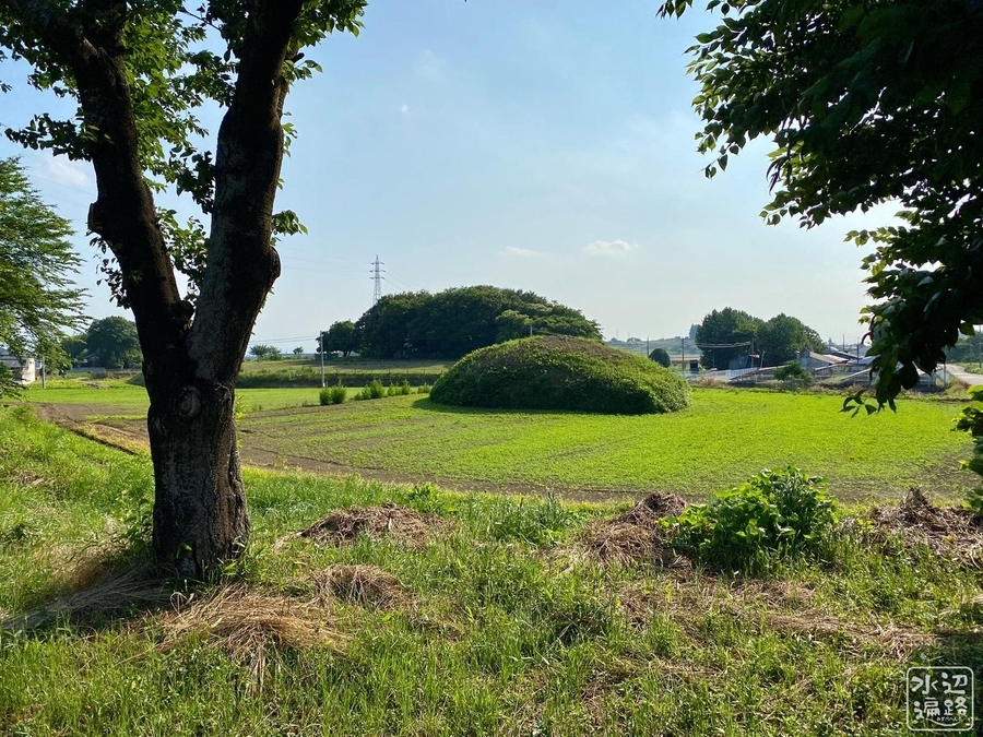 f:id:cippillo:20201215093920j:plain